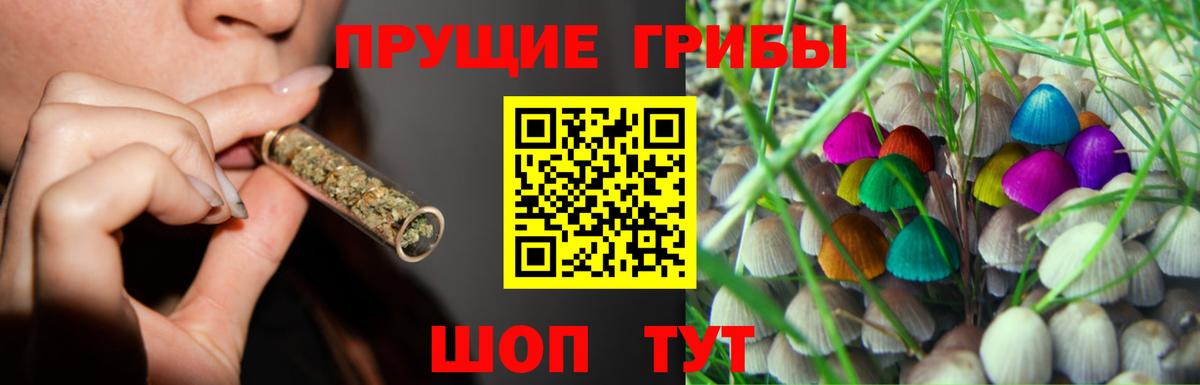 Галлюциногенные грибы прущие грибы Тула